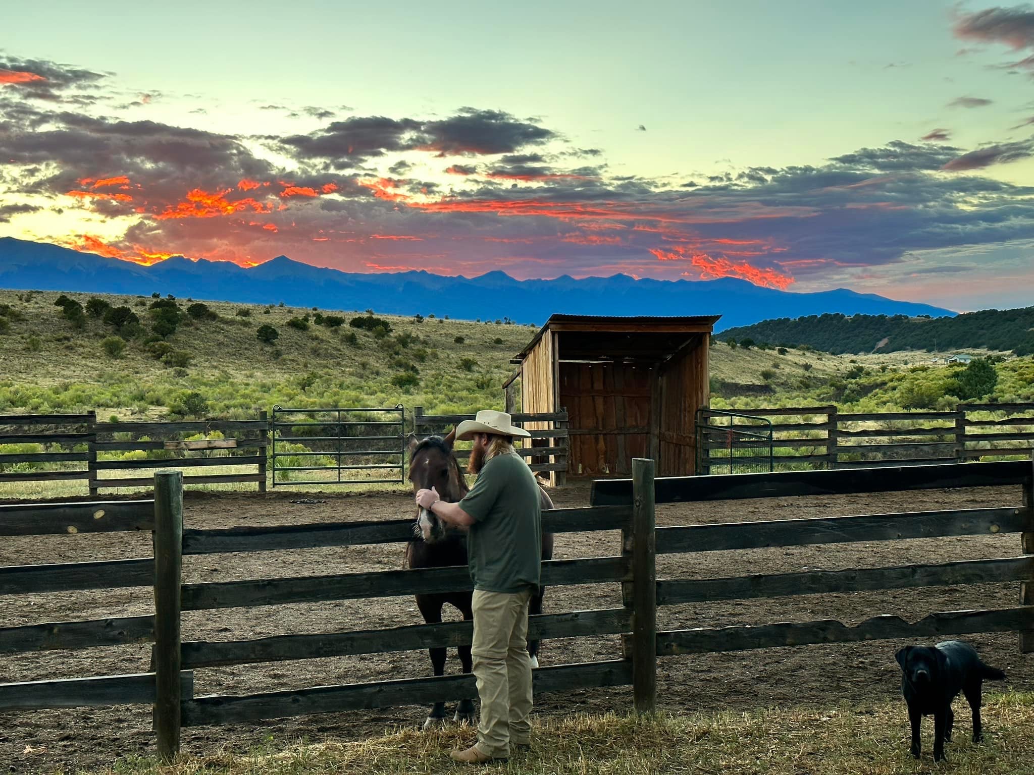 About Us - Veterans Rescue Ranch